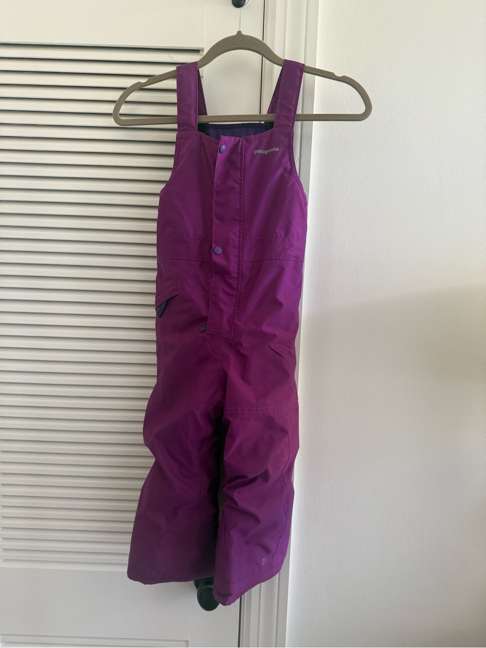 Patagonia Kids Purple Snow Bib Overalls 4T